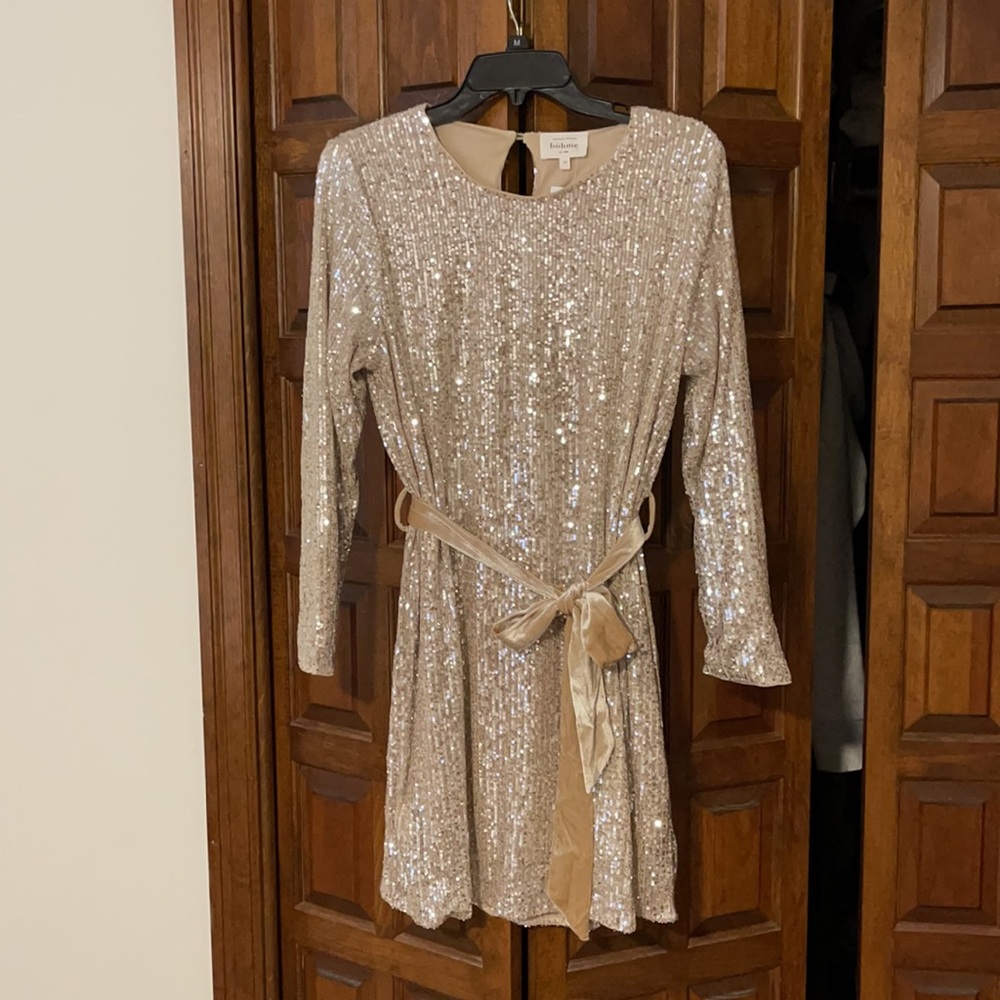 Bohme Blush/Nude sparkle dress. NWT- medium
